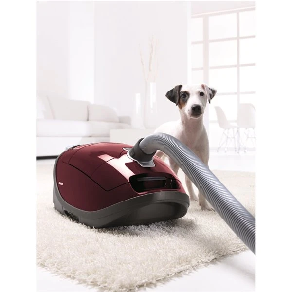 Aspirateur à Cartouche Complete C3 Cat & Dog De Miele 5 Aspirateur à Cartouche Complete C3 Cat & Dog De Miele – Image 3